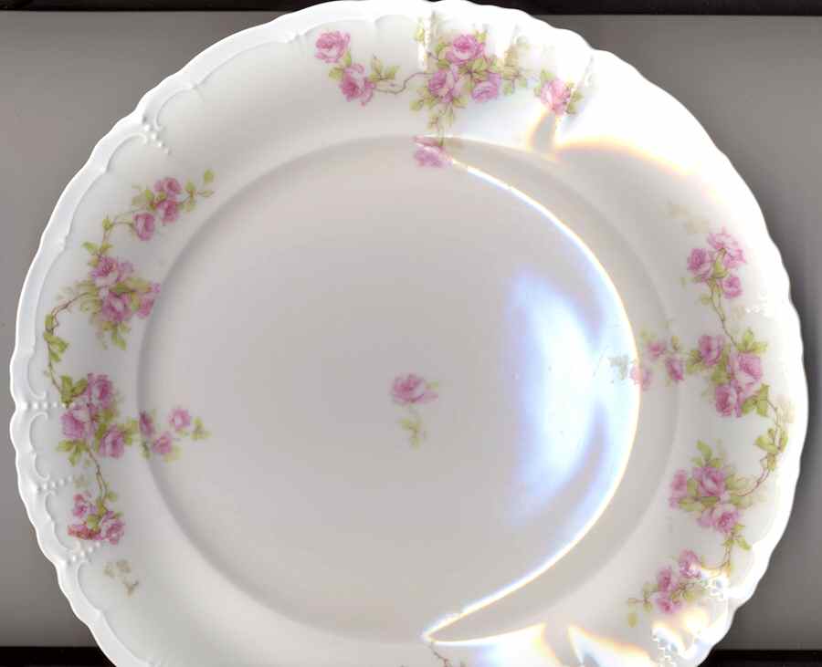 HAB102 Dinner Plate by Habsburg-1