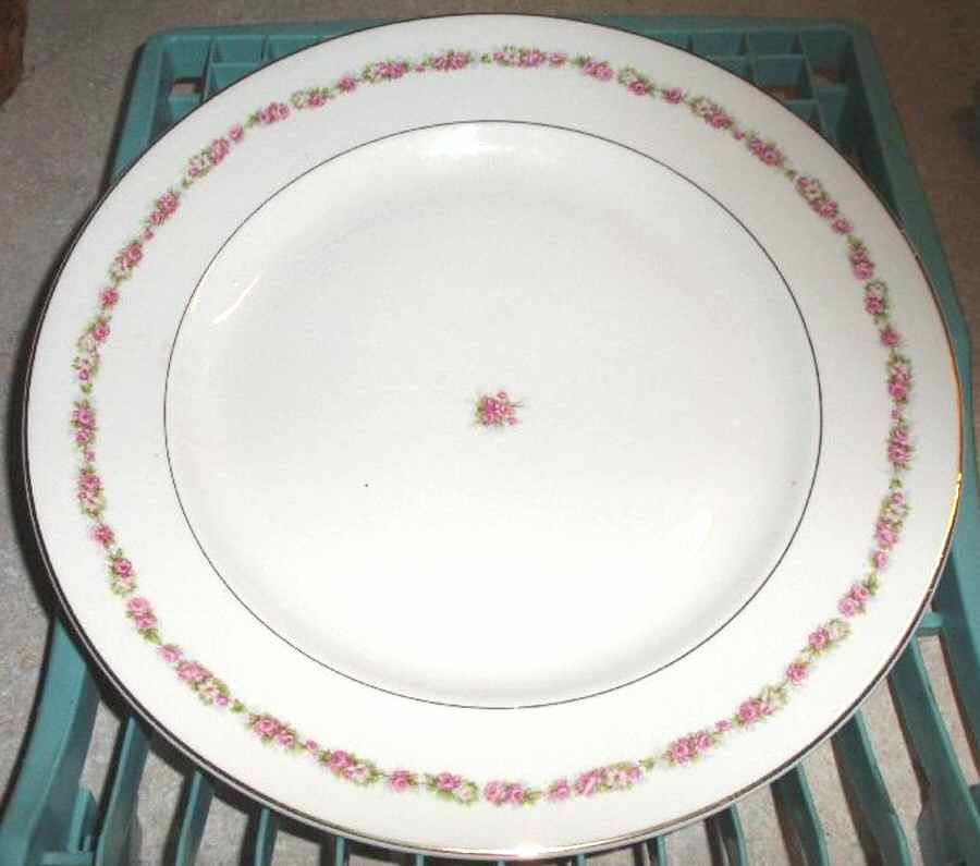 1897 Dinner Plate by Harker-1