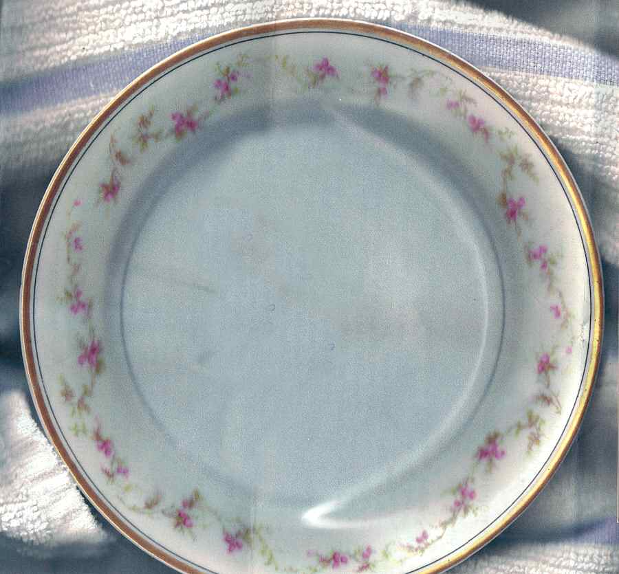 H3765 Salad Plate by Haviland-1