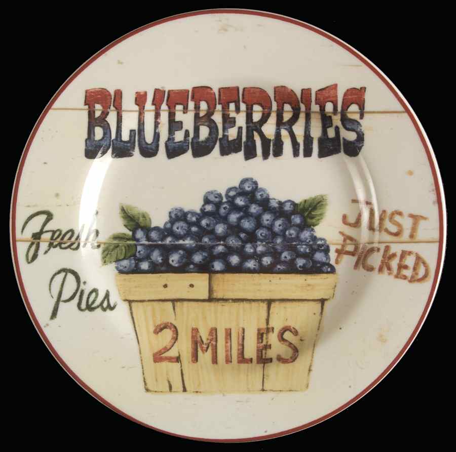 Farm Fresh Salad Plate by Home Trends-1
