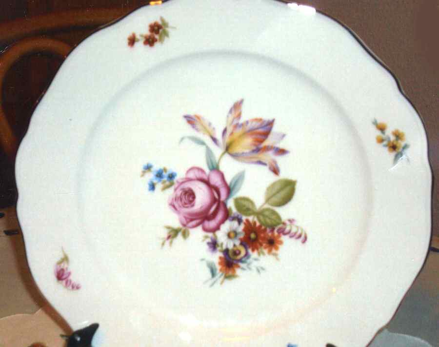 13305 Dinner Plate by Hutschenreuther-1