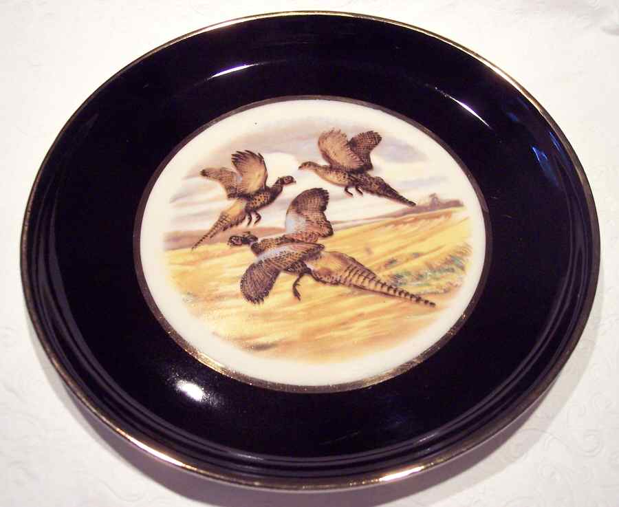 HYL7 Dinner Plate by Hyalyn-1
