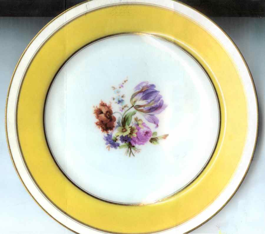 H3769 Salad Plate by Haviland-1