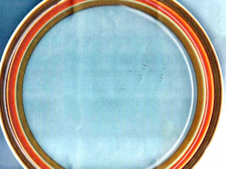 Salon Dinner Plate by Haniwa-1