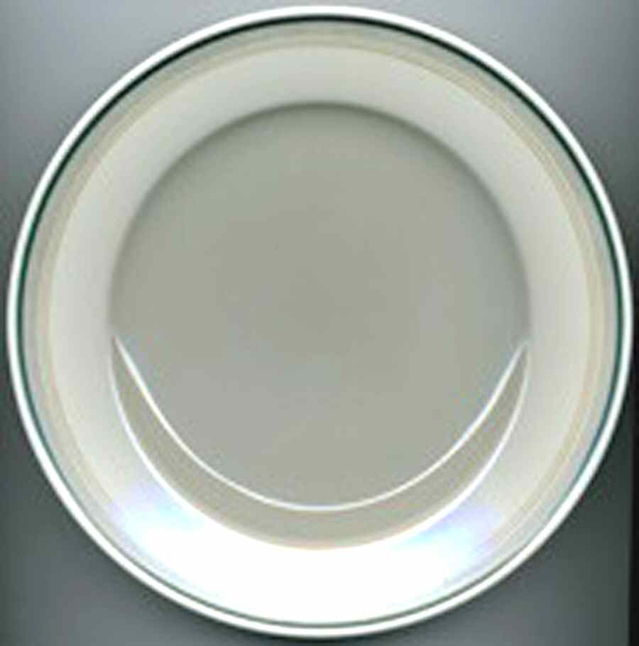 HUT1843 Dinner Plate by Hutschenreuther-1