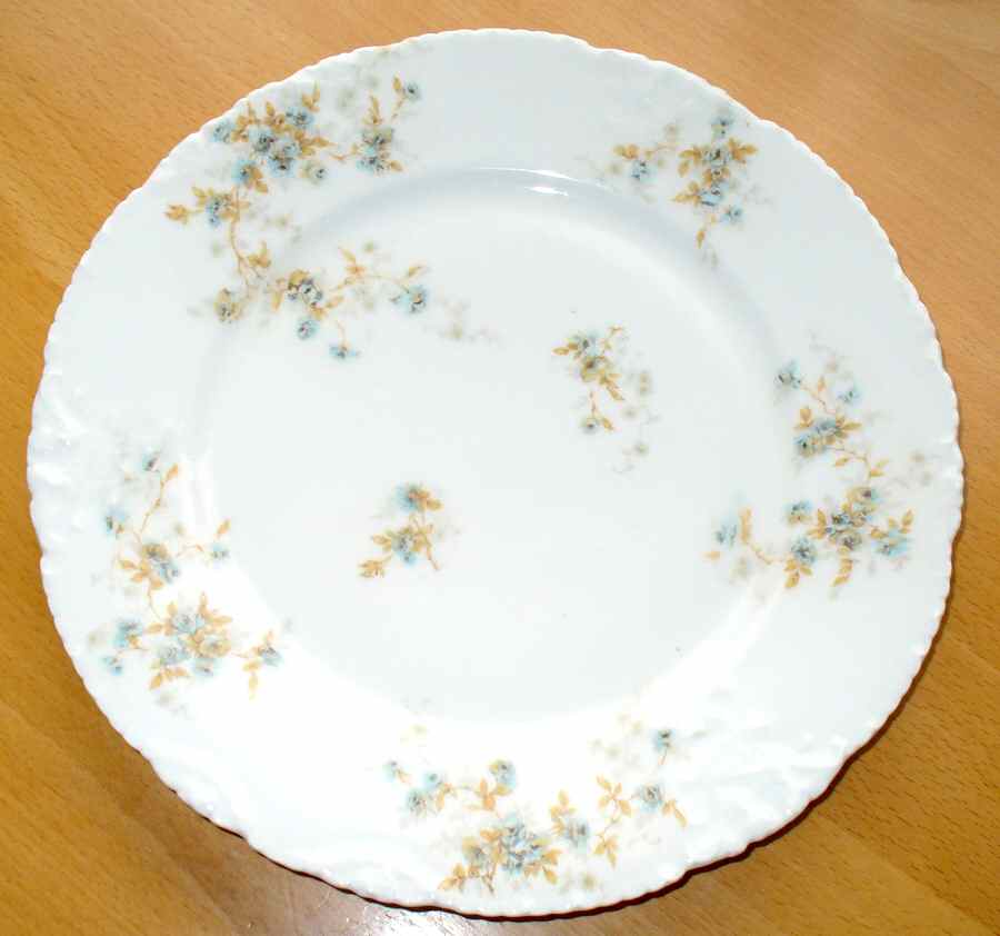 Schleiger 150-20 Dinner Plate by Haviland-1