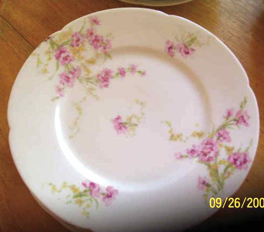 Schleiger 603-8 Dinner Plate by Haviland-1