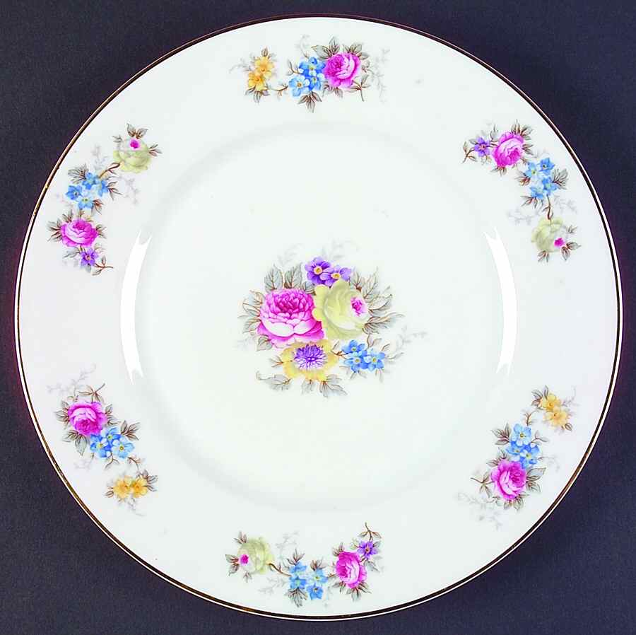 HUT1848 Dinner Plate by Hutschenreuther-1