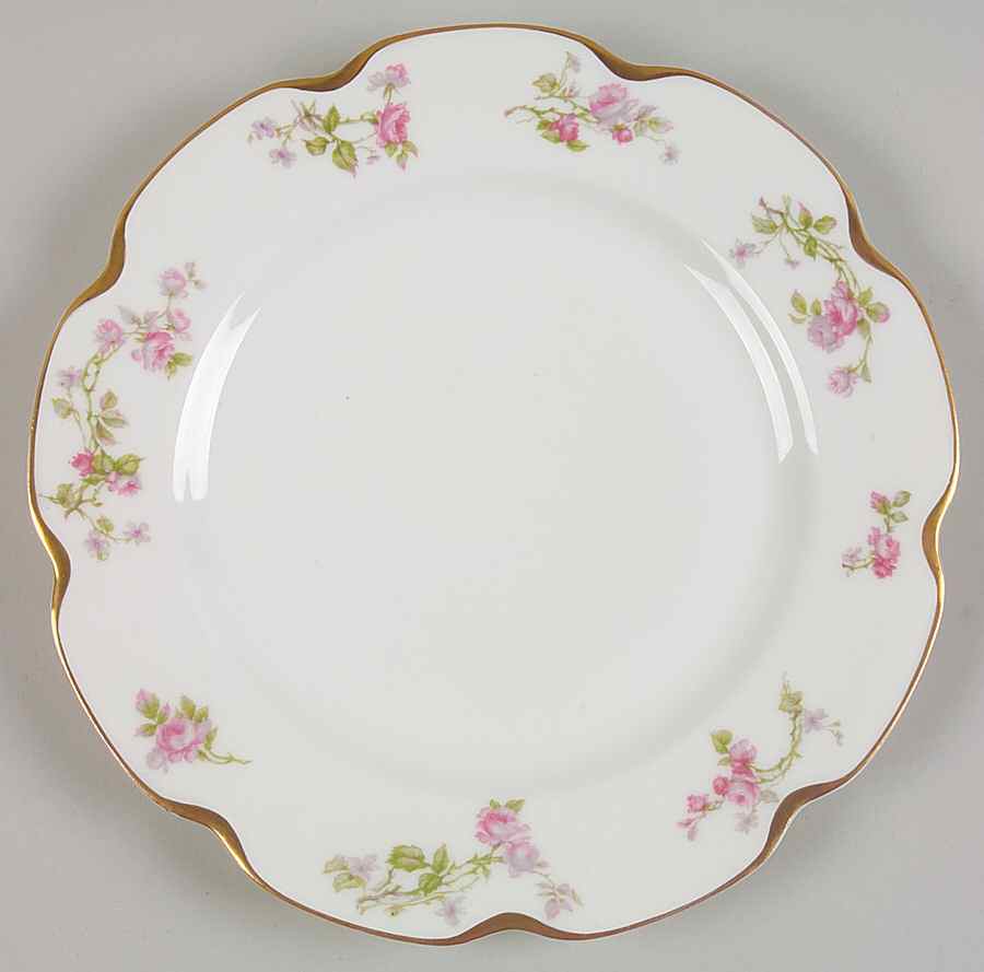 H3490 Dinner Plate by Haviland-1