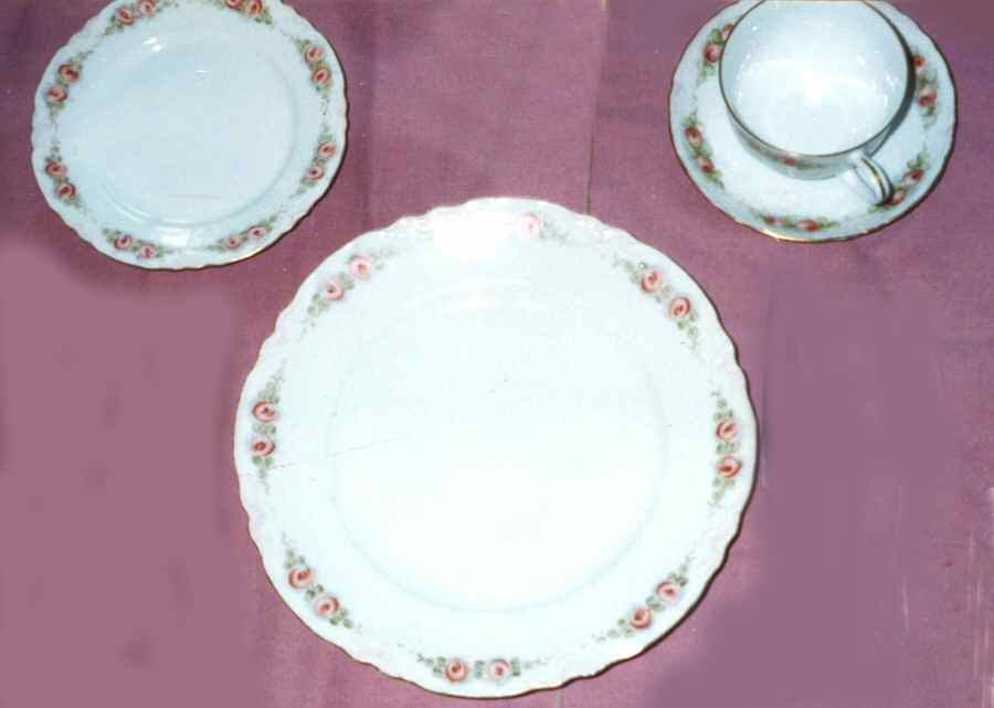 HUT1855 Dinner Plate by Hutschenreuther-1