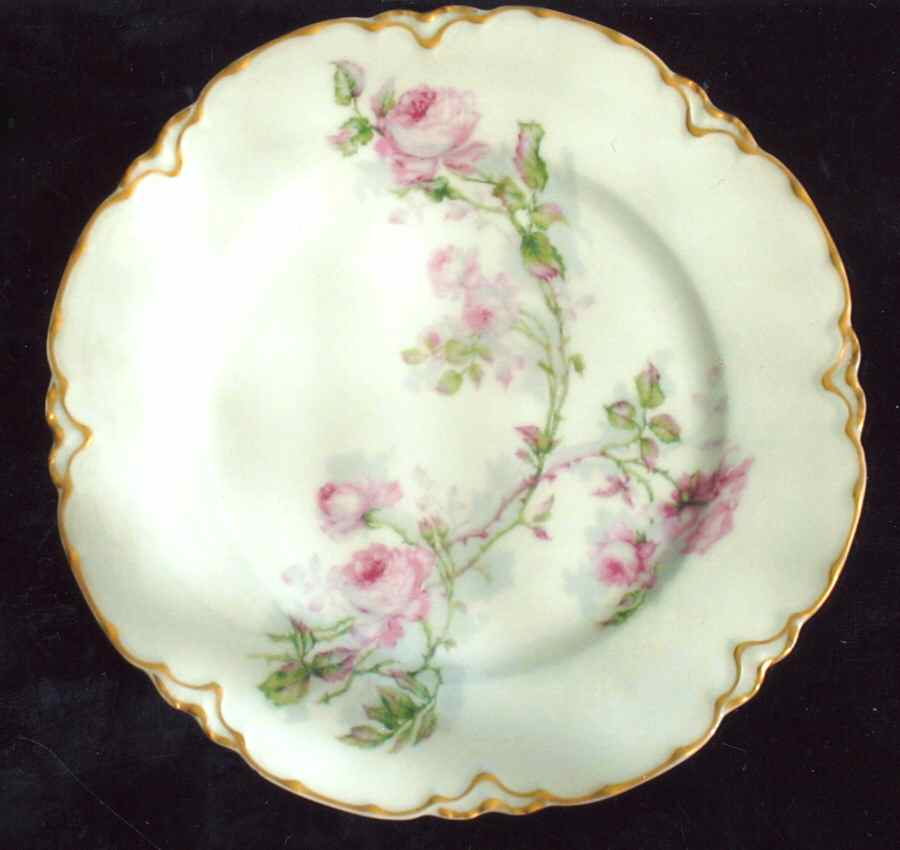 H3785 Dinner Plate by Haviland-1