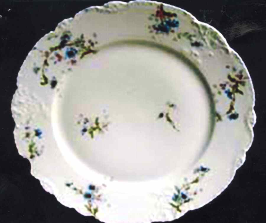 Schleiger 1034-8 Dinner Plate by Haviland-1