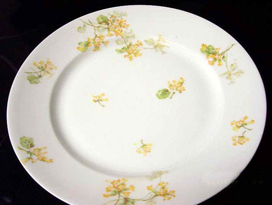 H3789 Dinner Plate by Haviland-1