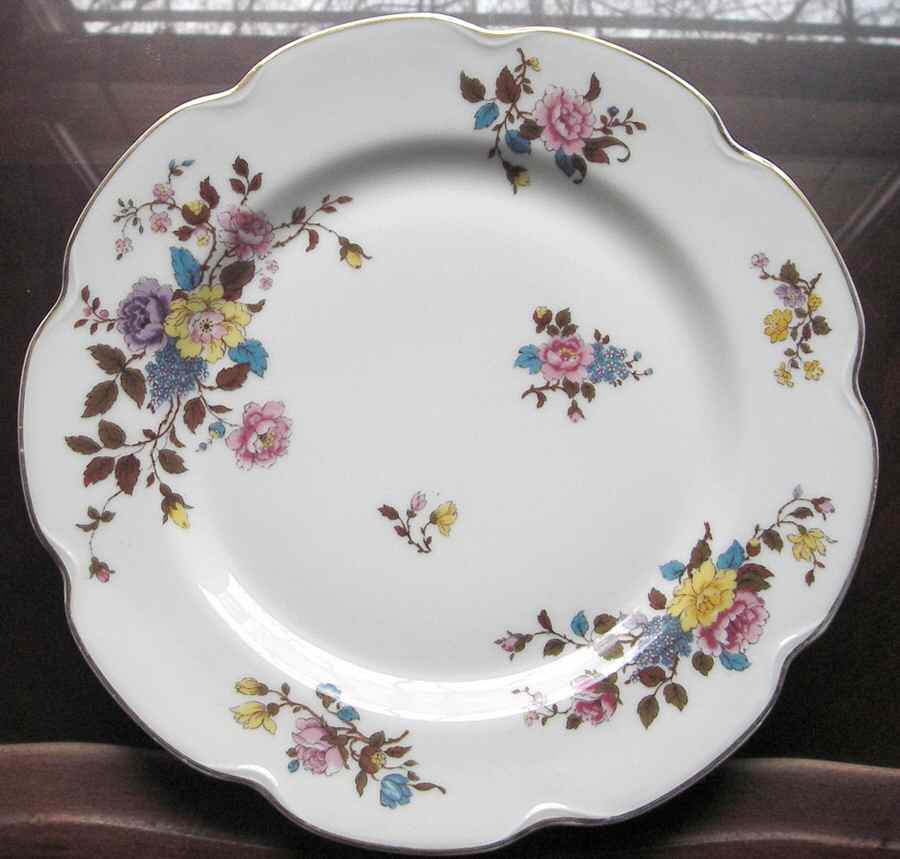 H3793 Dinner Plate by Haviland-1