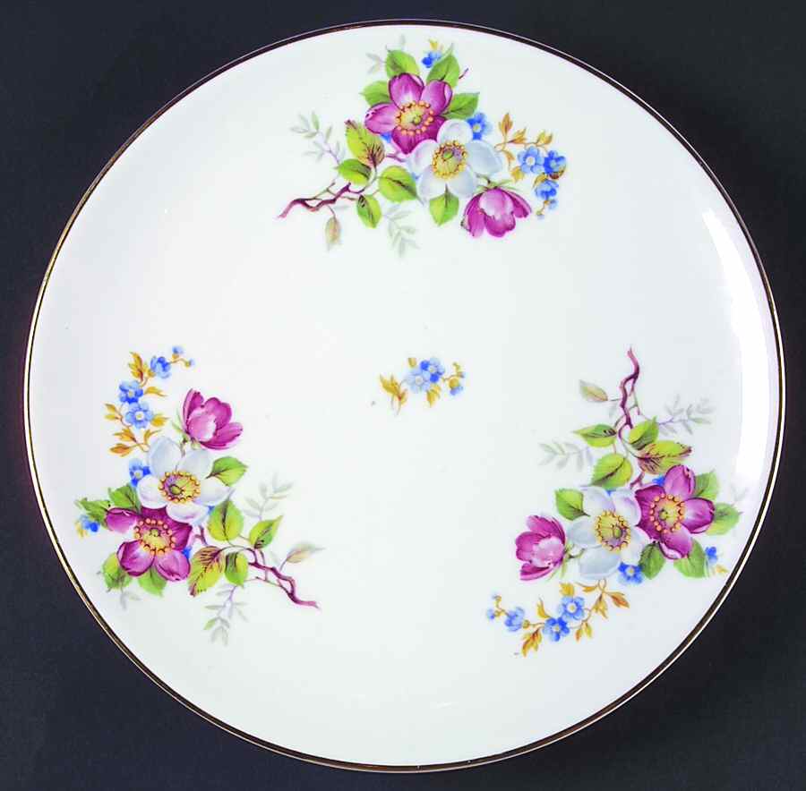 02571 Dinner Plate by Hutschenreuther-1