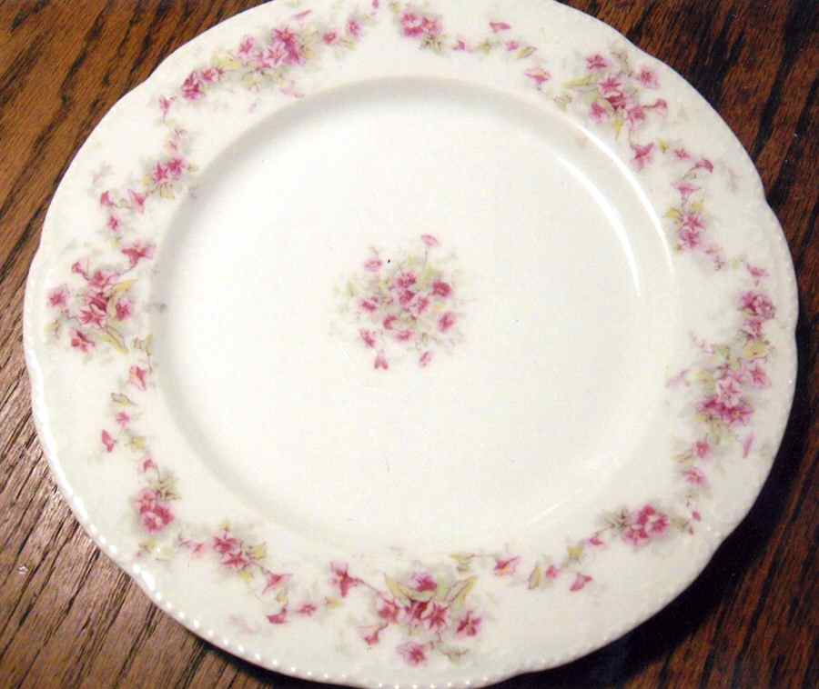Schleiger 341-5 Dinner Plate by Haviland-1