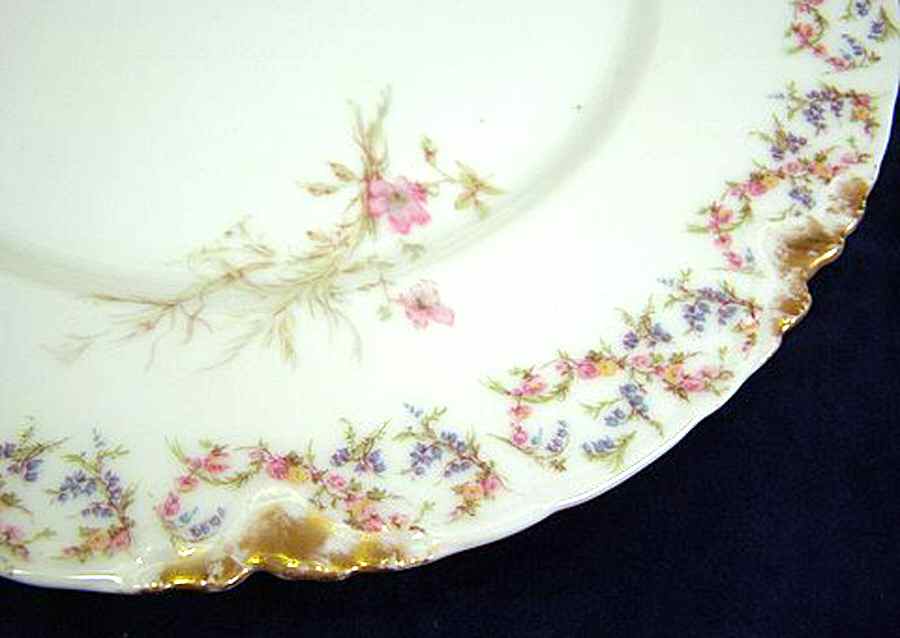 Schleiger 1166-12 Dinner Plate by Haviland-1