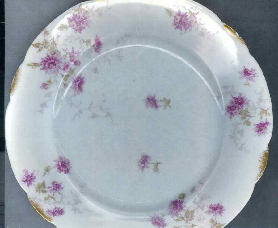 H3806 Dinner Plate by Haviland-1