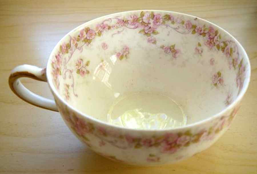 Schleiger 857-2 Flat Cup by Haviland-1