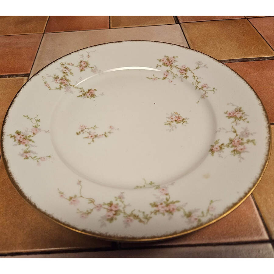 Schleiger 1245-5 Dinner Plate by Haviland-1