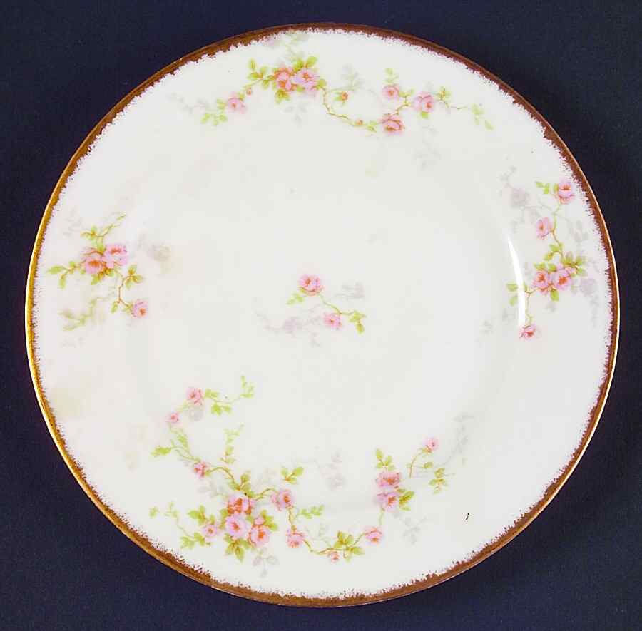 Schleiger 1245-5 Salad Plate by Haviland-1