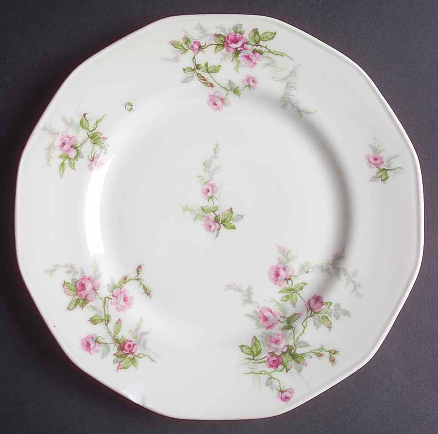 H3808 Dinner Plate by Haviland-1