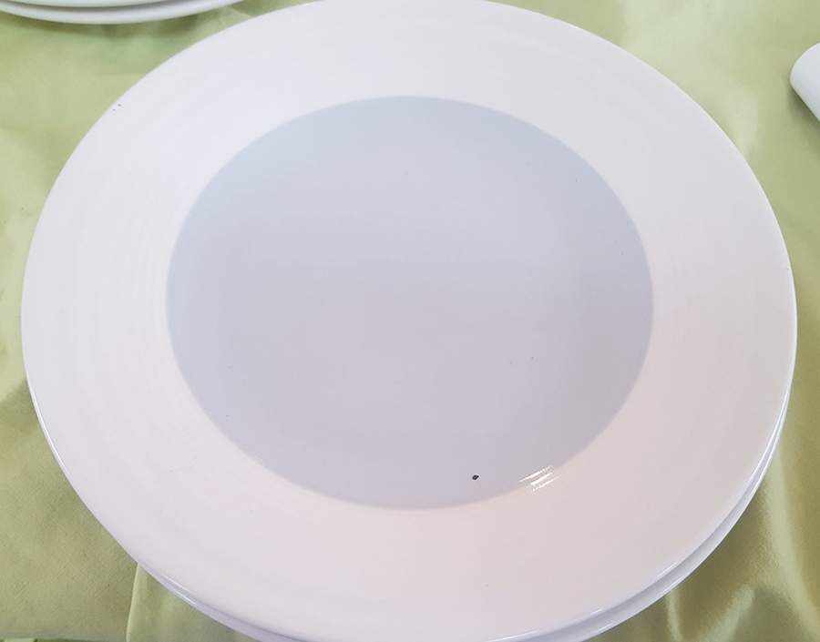 Gray Ribbed Dinner Plate by Home-1