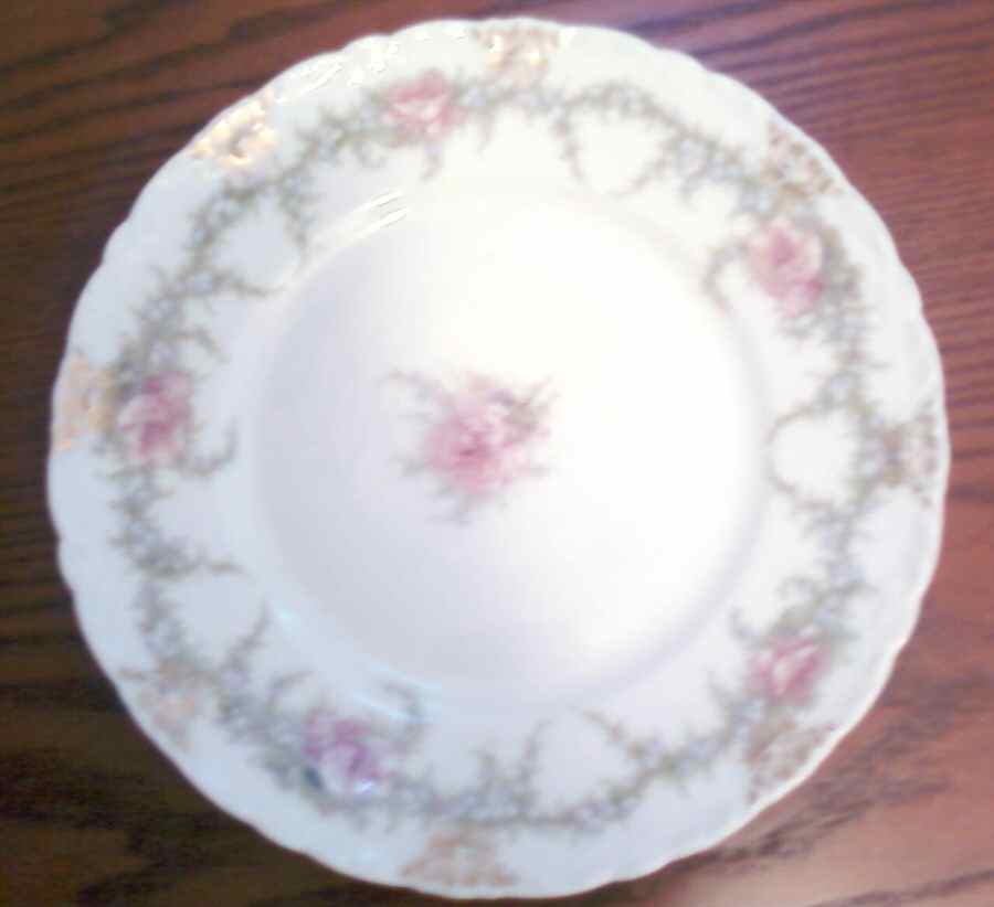 Schleiger 602-1 Dinner Plate by Haviland-1