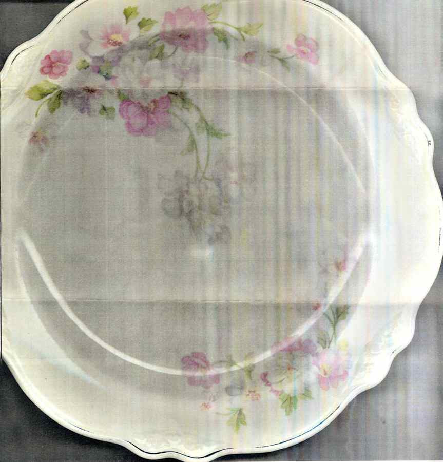 Fluffy Rose (Gold Trim) Luncheon Plate by Homer Laughlin -1