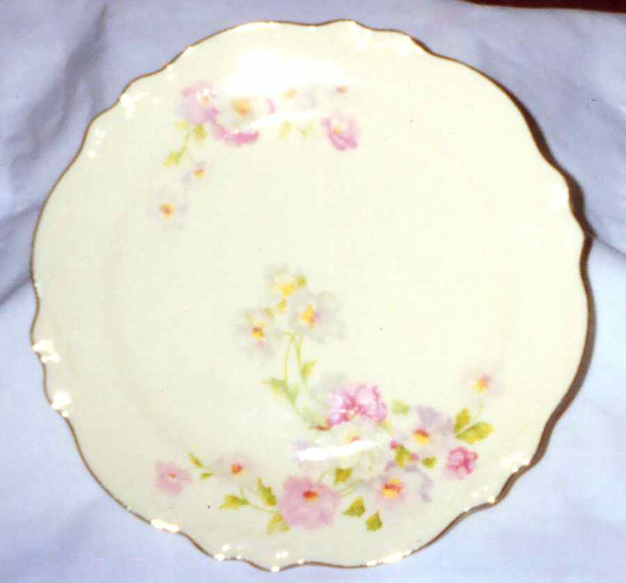 Fluffy Rose (Gold Trim) Dinner Plate by Homer Laughlin -1