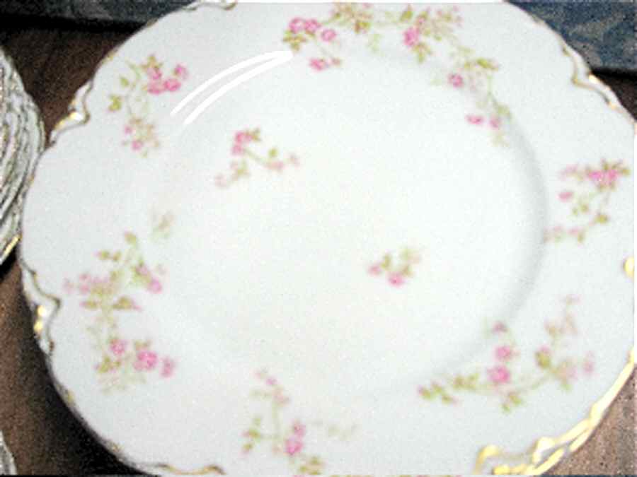 Schleiger 242-1 Dinner Plate by Haviland-1