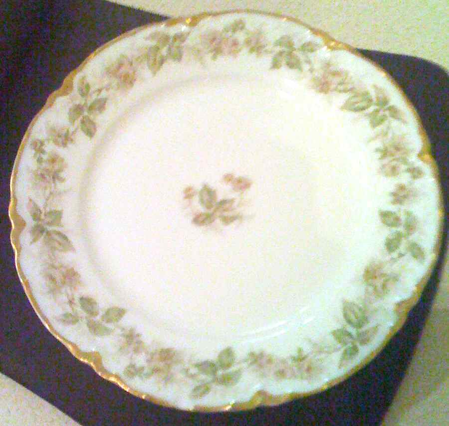 H3492 Bread & Butter Plate by Haviland-1
