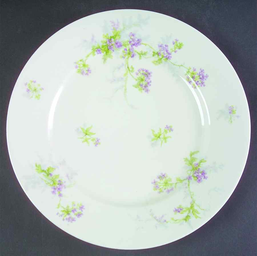 H3825 Dinner Plate by Haviland-1