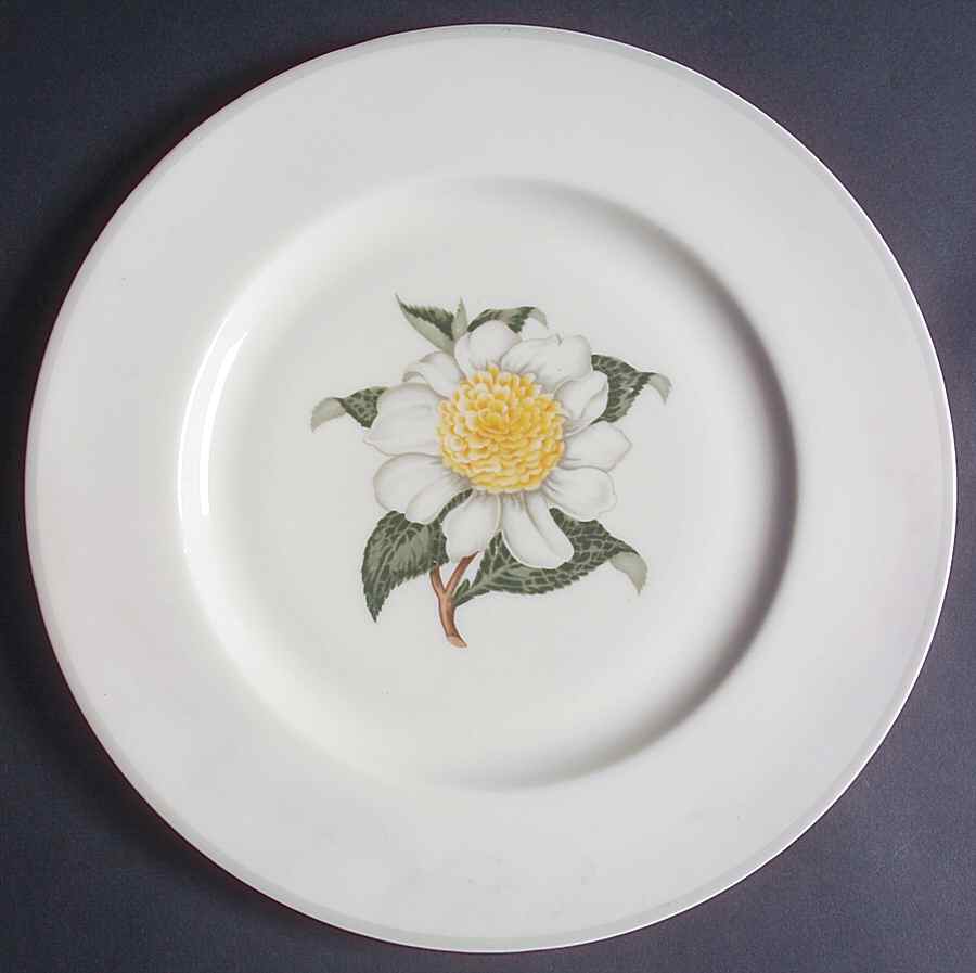 H3827 Dinner Plate by Haviland-1