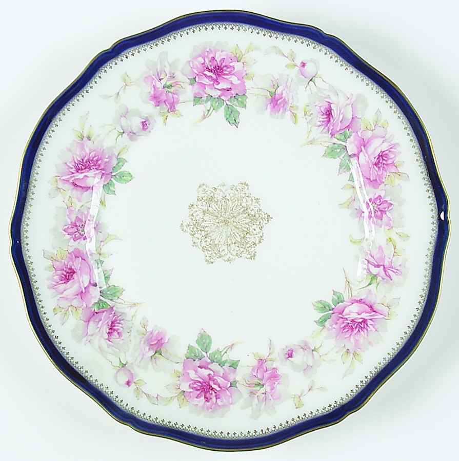 H3828 Dinner Plate by Haviland-1