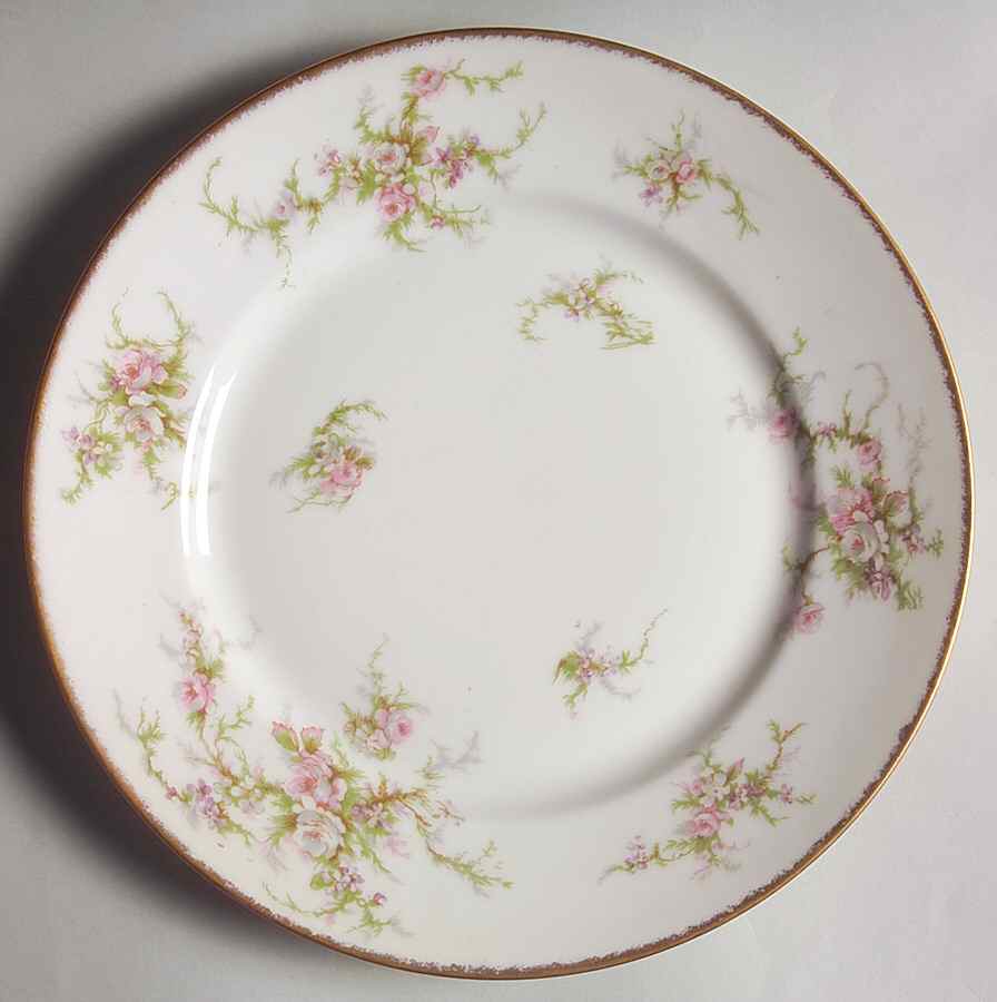 Schleiger 154-3 Dinner Plate by Haviland-1