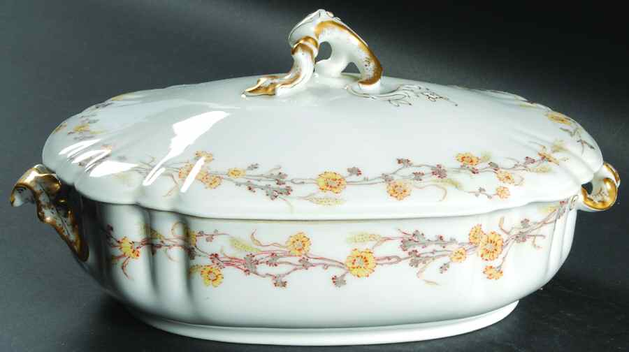 Schleiger 43-3 Rectangular Covered Vegetable by Haviland-1