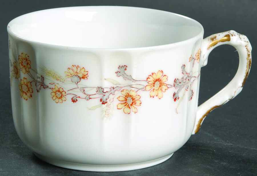 Schleiger 43-3 Footed Cup by Haviland-1