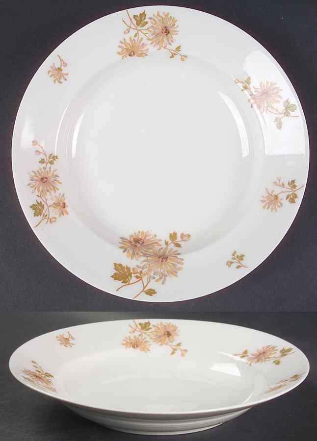H3838 Large Rim Soup Bowl by Haviland-1