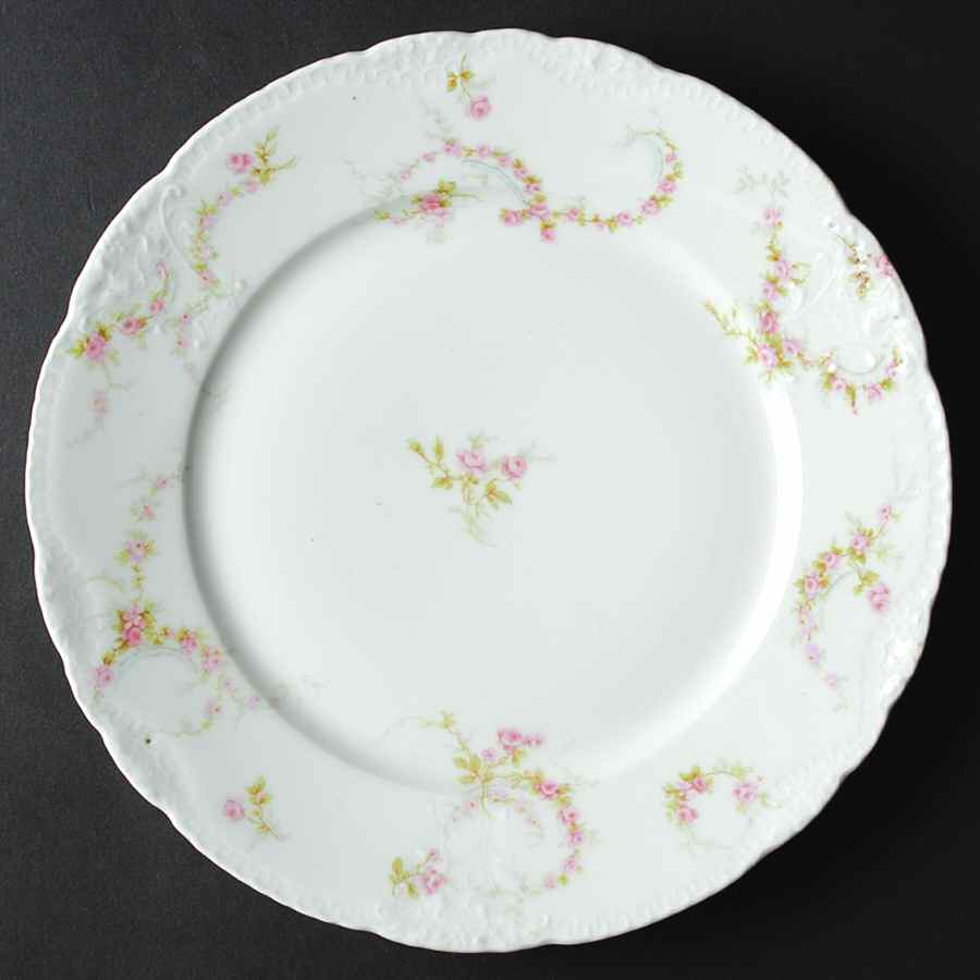 H3493 Dinner Plate by Haviland-1