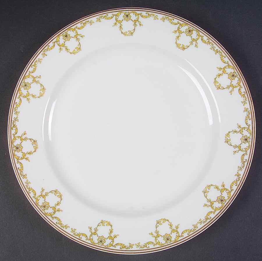 H3844 Dinner Plate by Haviland-1