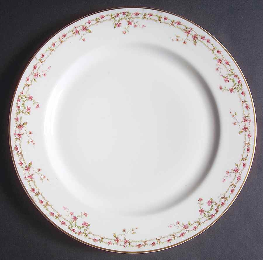 H3845 Dinner Plate by Haviland-1