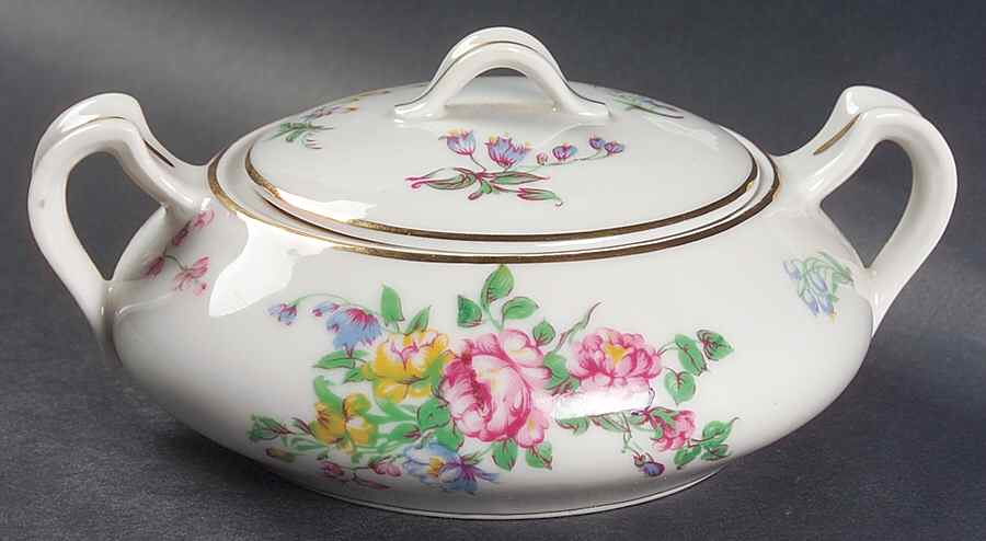 H3495 Sugar Bowl & Lid by Haviland-1