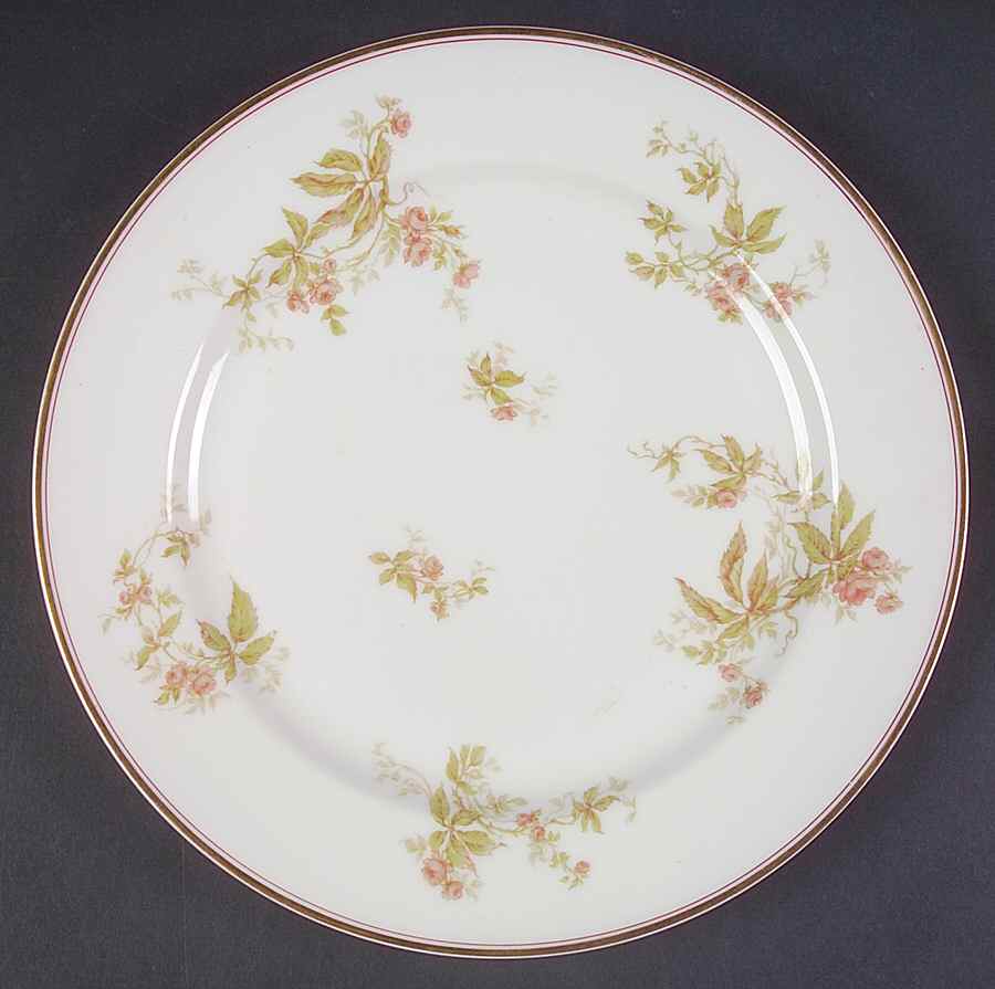 Schleiger 1163-2 Dinner Plate by Haviland-1