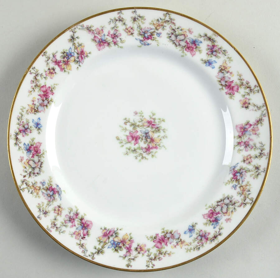 H3499 Dinner Plate by Haviland-1