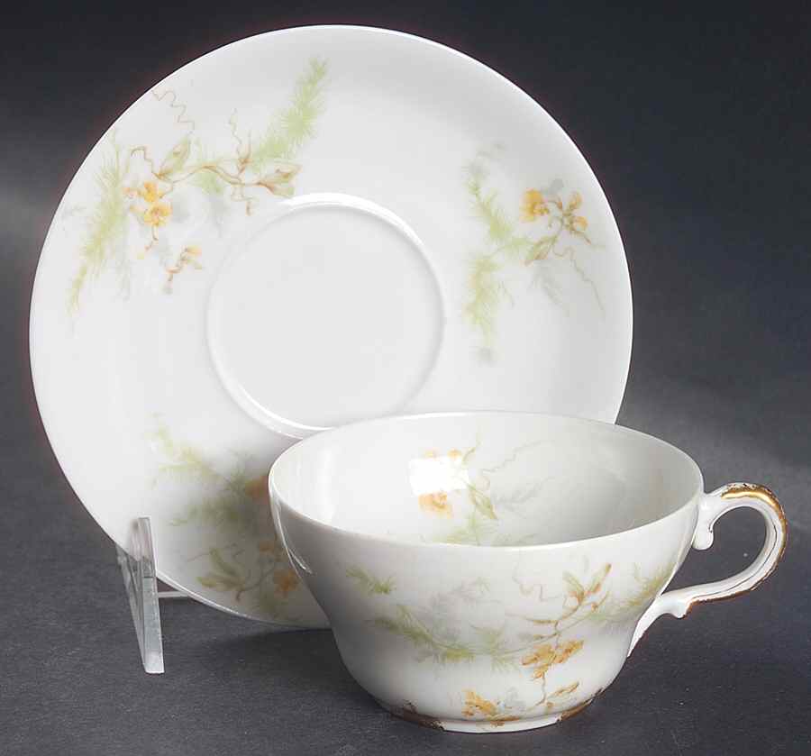 Schleiger 1026-7 Flat Cup & Saucer Set by Haviland-1