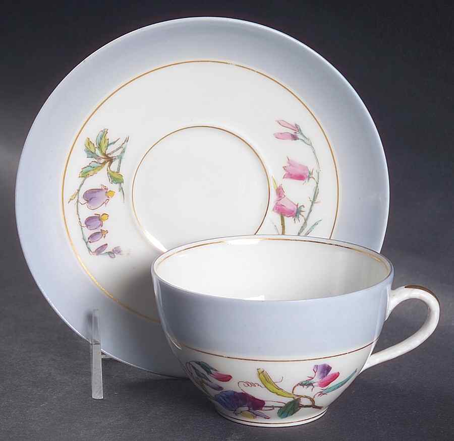 H3851 Flat Cup & Saucer Set by Haviland-1