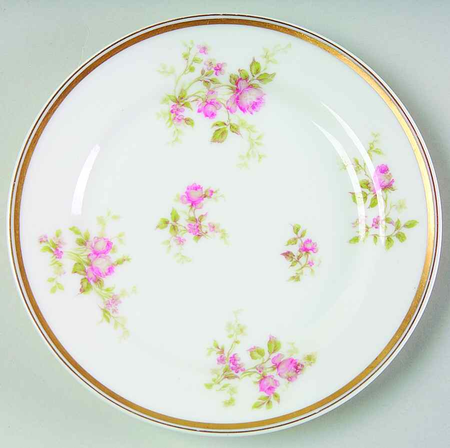 H3854 Bread & Butter Plate by Haviland-1