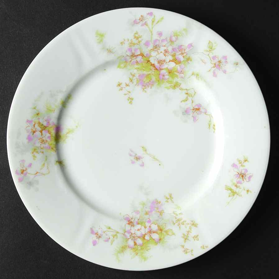 Schleiger 146-12 Salad Plate by Haviland-1