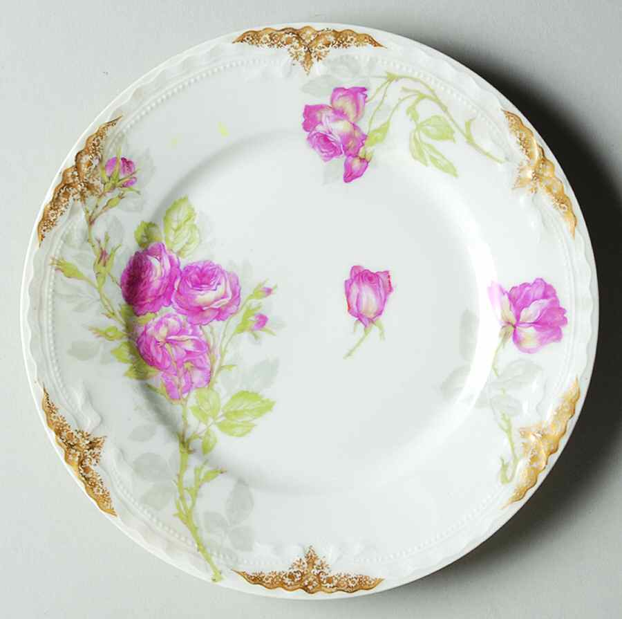 Schleiger 326-2 Salad Plate by Haviland-1